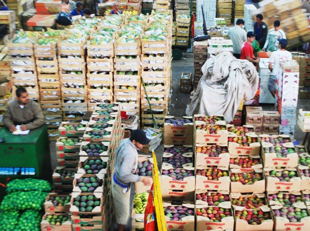 Boletim da Conab verifica alta de preços de frutas e hortaliças comercializadas no atacado devido clima e troca de safras