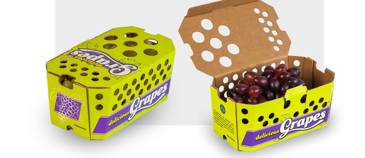 WestRock desenvolve solução em embalagens sustentáveis para embalamento de frutas