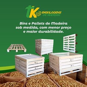 TK Embalagens de madeiras 20 anos de experiência no mercado de hortifrutis