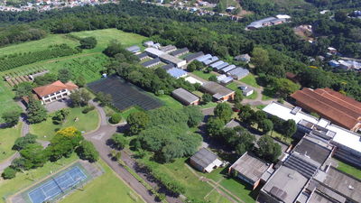 Embrapa Uva e Vinho celebra 50 anos nesta sexta-feira (29)