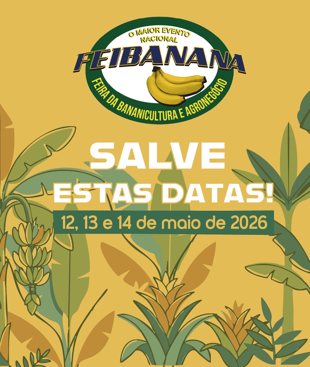 https://abavar.com.br/
