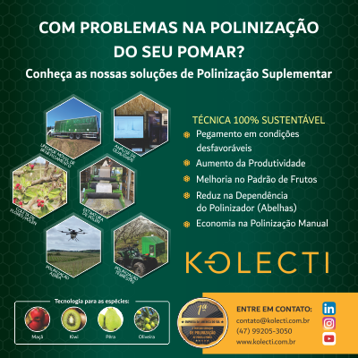 https://www.kolecti.com.br/