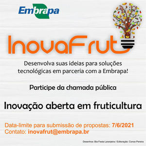 Embrapa lan�a programa de inova��o aberta em fruticultura tropical