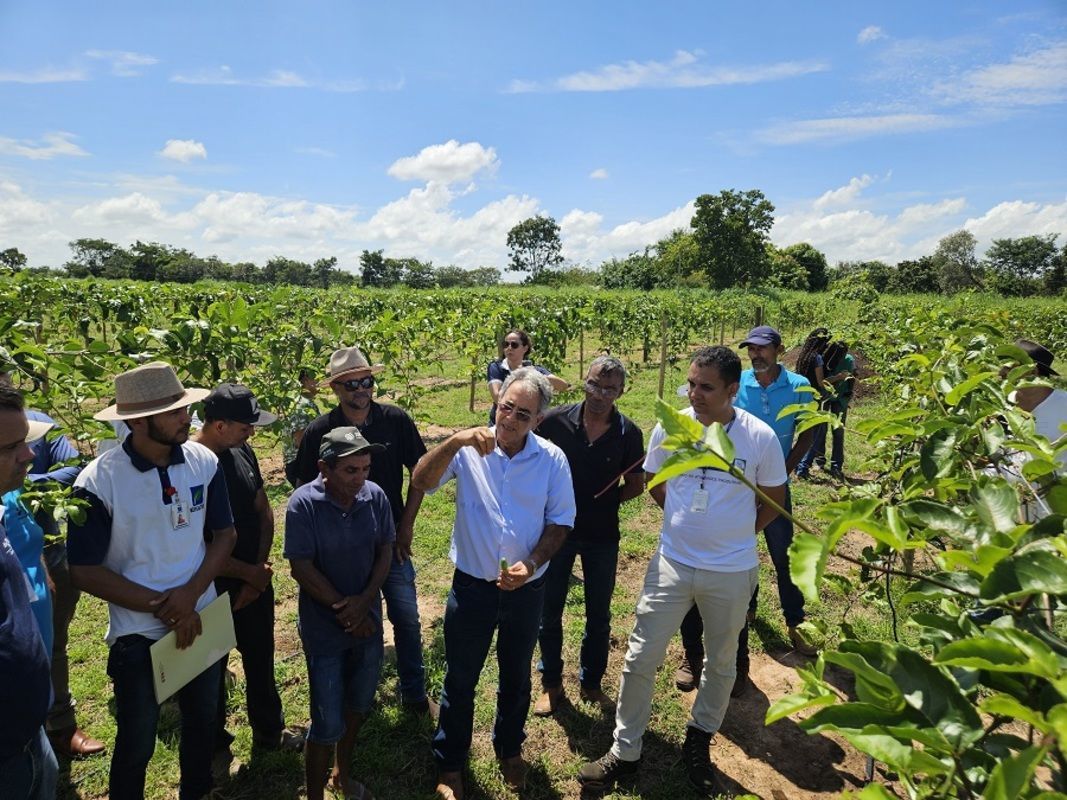 Fruticultura Irrigada  o novo vetor de desenvolvimento do Nordeste goiano
