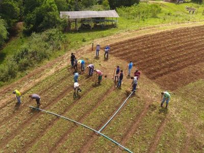 Epagri e SED abrem inscri��es gratuitas para ingressar nos Cedups Agrot�cnicos