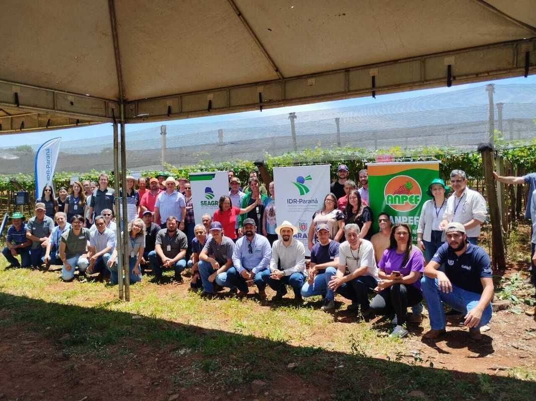 Produtores de uva de Marialva participam da 1 Jornada Tecnolgica em Fruticultura