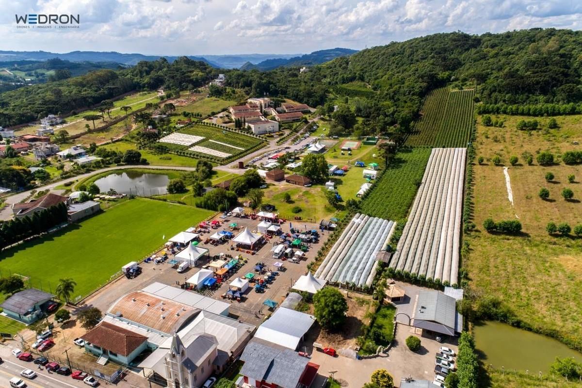 Veja programao da 6 Tecnovitis - Feira de Tecnologia em Viticultura e Fruticultura, que comea nesta 4 feira em Bento Gonalves/RS 