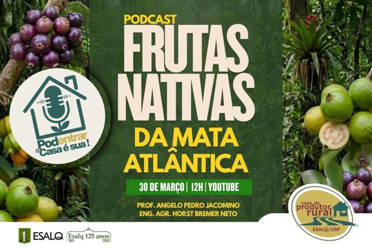 Casa do Produtor Rural lan�a novo podcast sobre Frutas Nativas da Mata Atl�ntica
