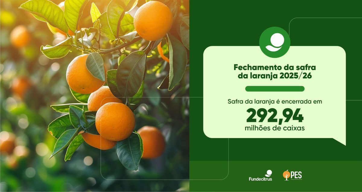 Safra de laranja 2025/26 � encerrada com produ��o total de 292,94  milh�es de caixas