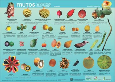 Frutas do Cerrado: Alternativa sustent�vel