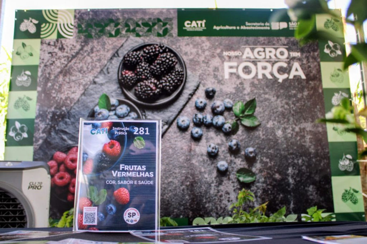 Agrishow 2026: Secretaria de Agricultura apresenta novas publica��es para a produ��o e culin�ria de frutas vermelhas