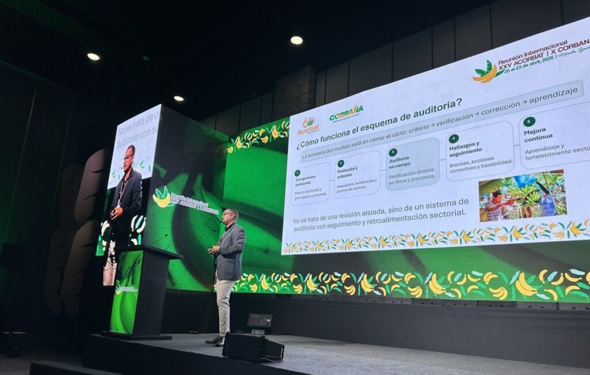 O Congresso Internacional da Banana reuniu l�deres mundiais e marcou uma nova era de colabora��o para a ind�stria bananeira