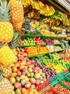  Embrapa re�ne especialistas para debater desafios da fruticultura brasileira
