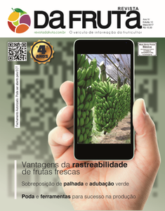 Aplicativo feito pela UFMG indicar� no celular as condi��es de frutas e legumes